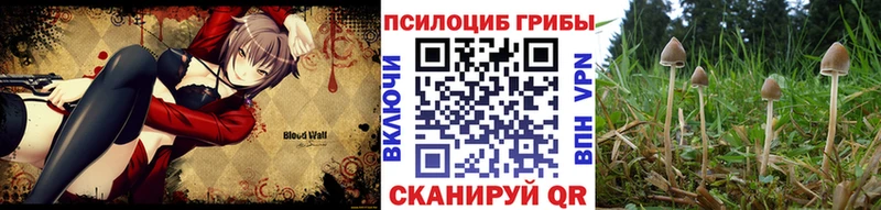 Псилоцибиновые грибы Cubensis  Купить  Никольское 